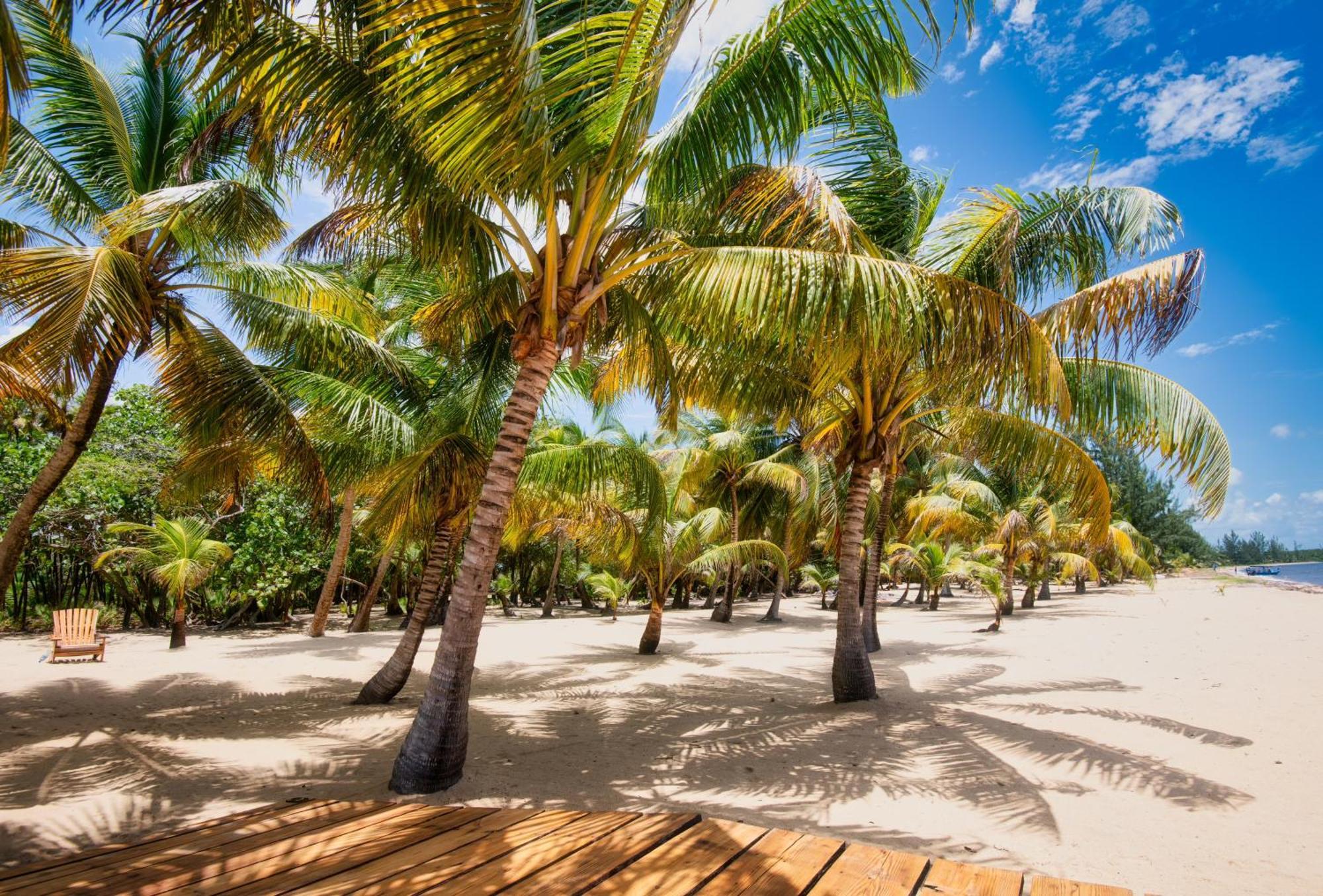 Sabal Beach Punta Gorda Exterior foto